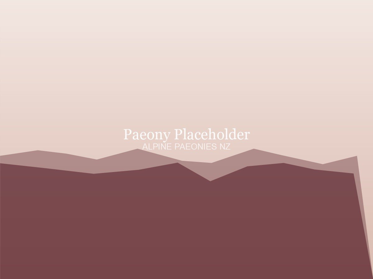 Madame Claude Tain paeony placeholder
