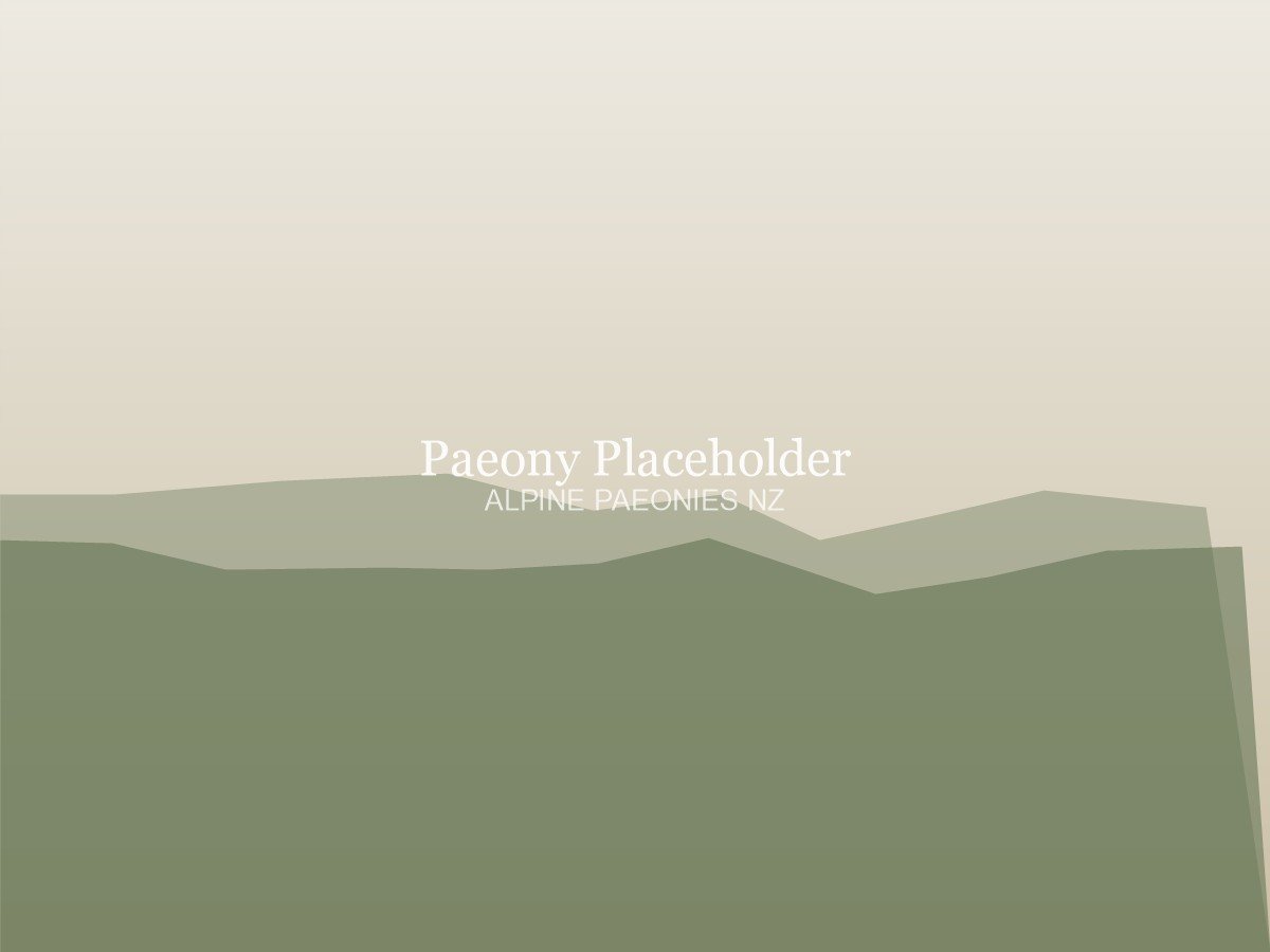 Sizing grader in action — placeholder